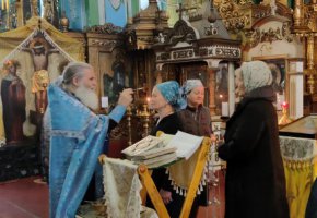 День мудрости